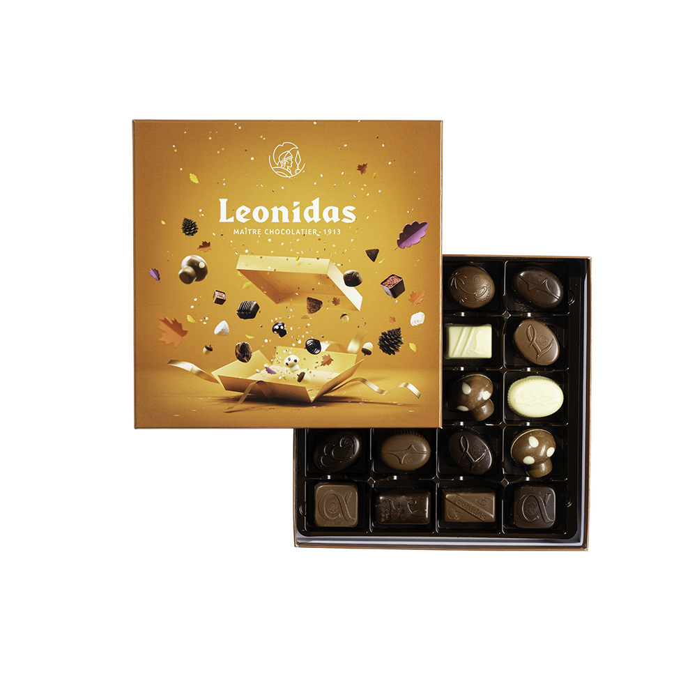 Leonidas 2026 Autumn Gift Box M – 22 pcs. - Delivery in Germany